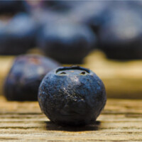 Elements of Advertising, Photography, Color, Blueberries, Kelsey Ridener