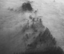 Morning Fog, Connor Cunningham, Folio Seminar, GOLD CATTY AWARD Overhead photo by Connor