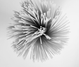 Spaghetti, O, Photo I, Shirin Ghorbanian Spaghetti, O
