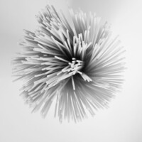 Spaghetti, O, Photo I, Shirin Ghorbanian Spaghetti, O
