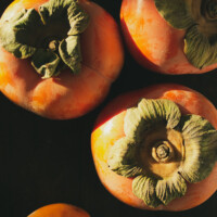 Persimmon, Photo I, Shirin Ghorbanian Persimmon